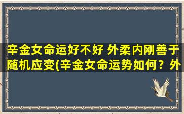 辛金女命运好不好 外柔内刚善于随机应变(辛金女命运势如何？外柔内刚灵活应变是优势)